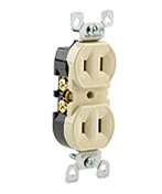 Ungrounded Receptacle